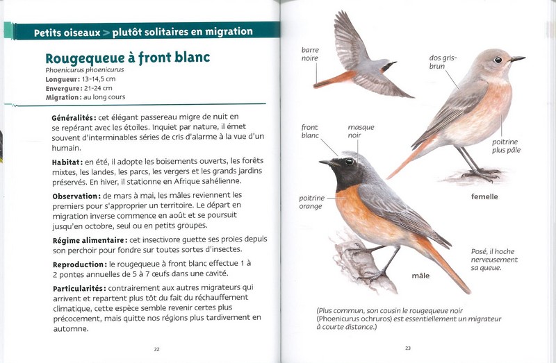 Oiseaux migrateurs les petits livres de la nature
