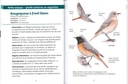 Oiseaux migrateurs les petits livres de la nature