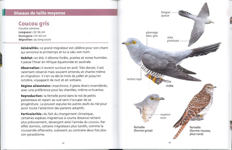 Oiseaux migrateurs les petits livres de la nature