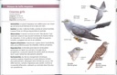 Oiseaux migrateurs les petits livres de la nature