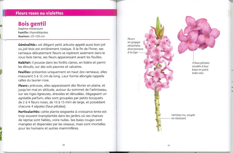 Fleurs de printemps les petits livres de la nature