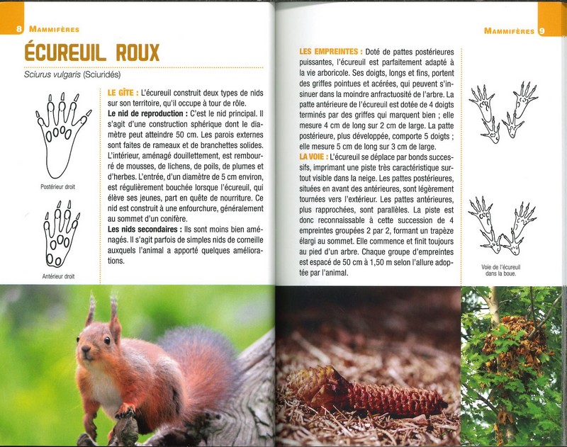 Pour reconnaître les traces et indices