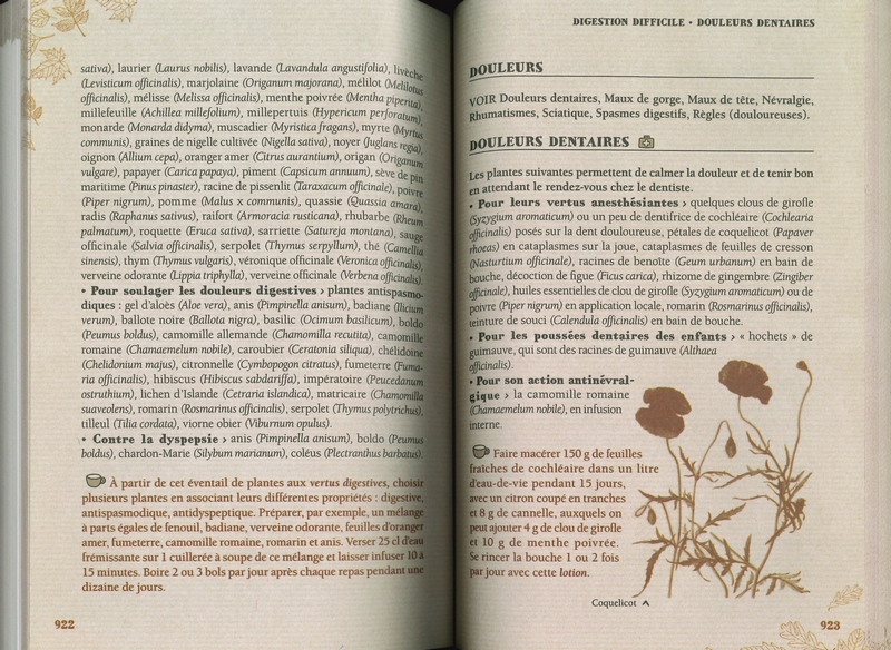 Le Petit Larousse des plantes qui guérissent