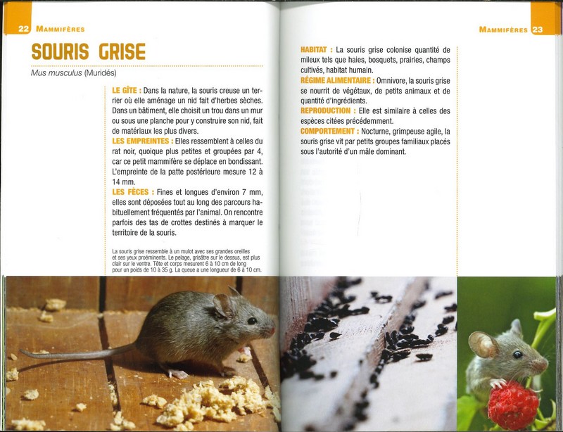 Pour reconnaître les traces et indices