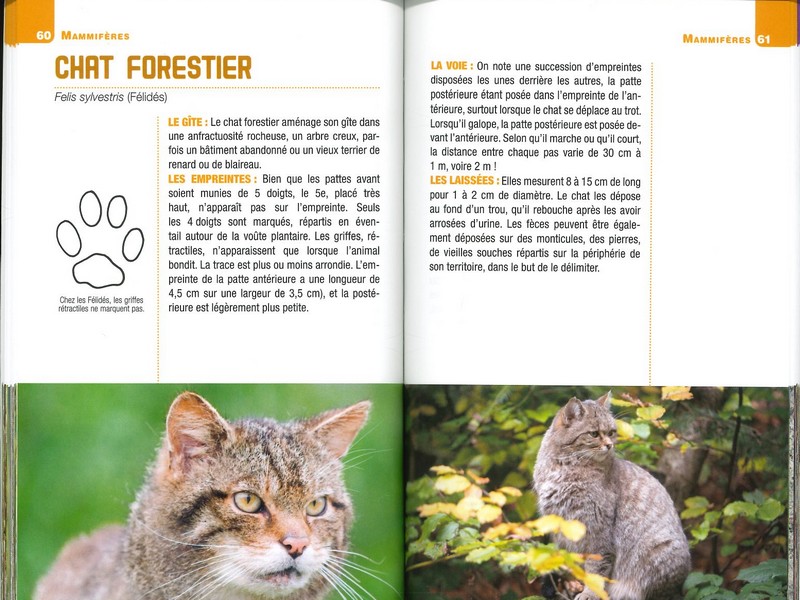 Pour reconnaître les traces et indices