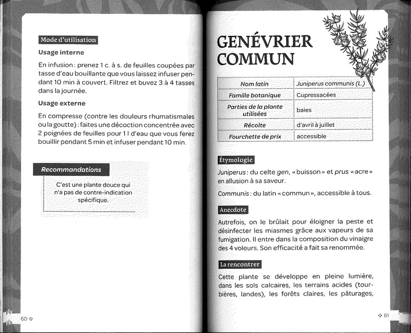 Les plantes médicinales 100 plantes pour apaiser son quotidien