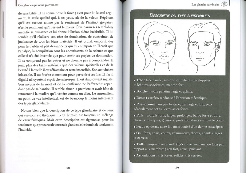 Ces Glandes qui nous gouvernent