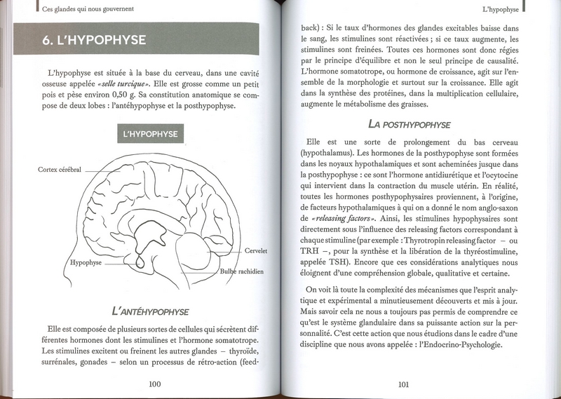 Ces Glandes qui nous gouvernent