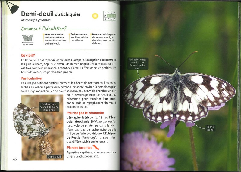 L'indispensable guide de l'amoureux des papillons