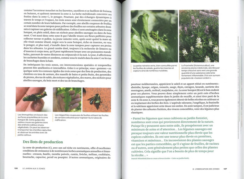 Le jardin aux 3 zones