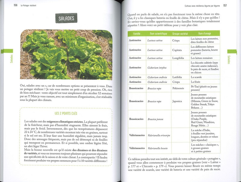 Le potager résilient