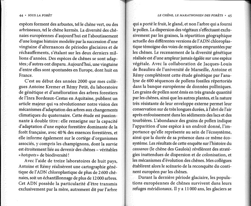 Sous la forêt pour survivre il faut des alliés