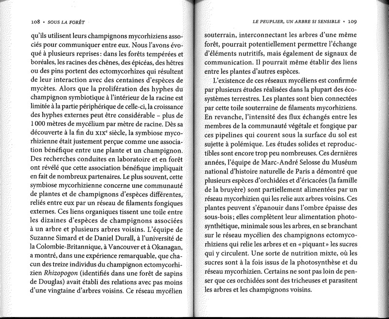 Sous la forêt pour survivre il faut des alliés