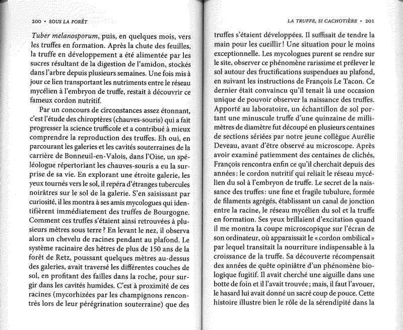 Sous la forêt pour survivre il faut des alliés