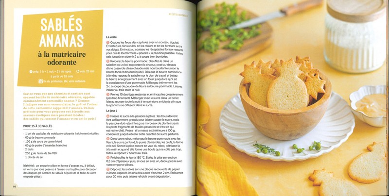 Cueillir et cuisiner les plantes sauvages en famille