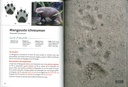Indispensable guide des empreintes animales