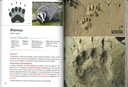Indispensable guide des empreintes animales