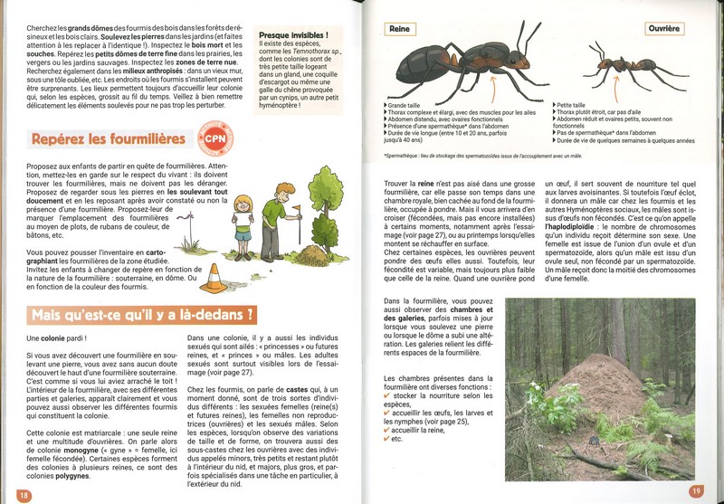 Ca fourmille chez les CPN!