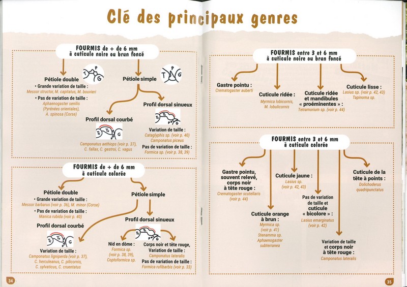 Ca fourmille chez les CPN!