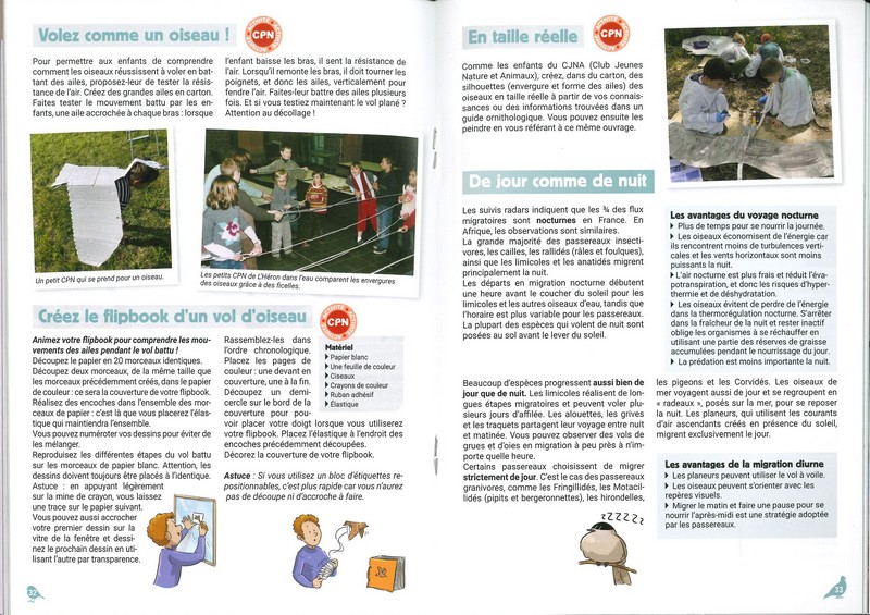 Oiseaux sans frontières