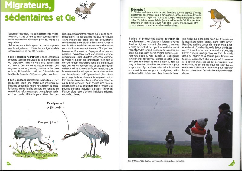 Oiseaux sans frontières