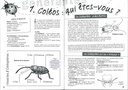 A la rencontre des coléoptères