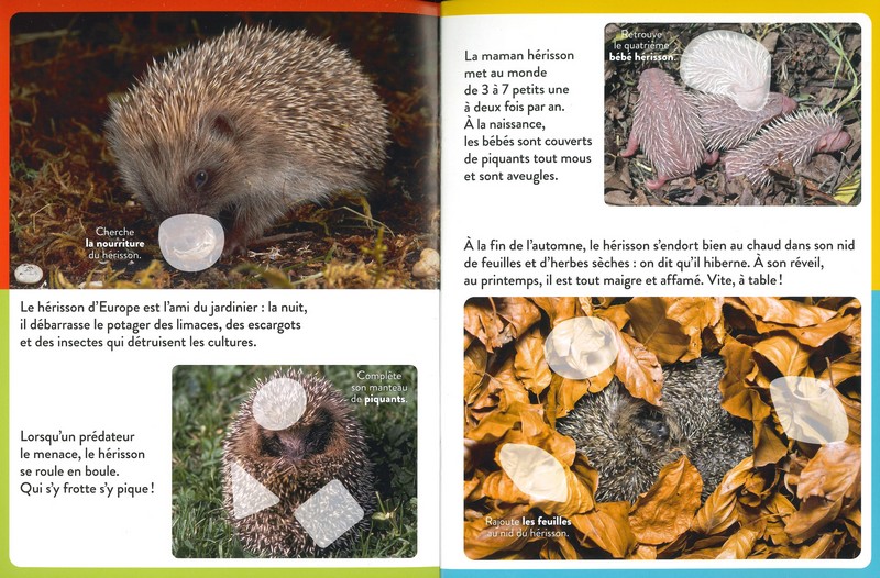 Les animaux du jardin