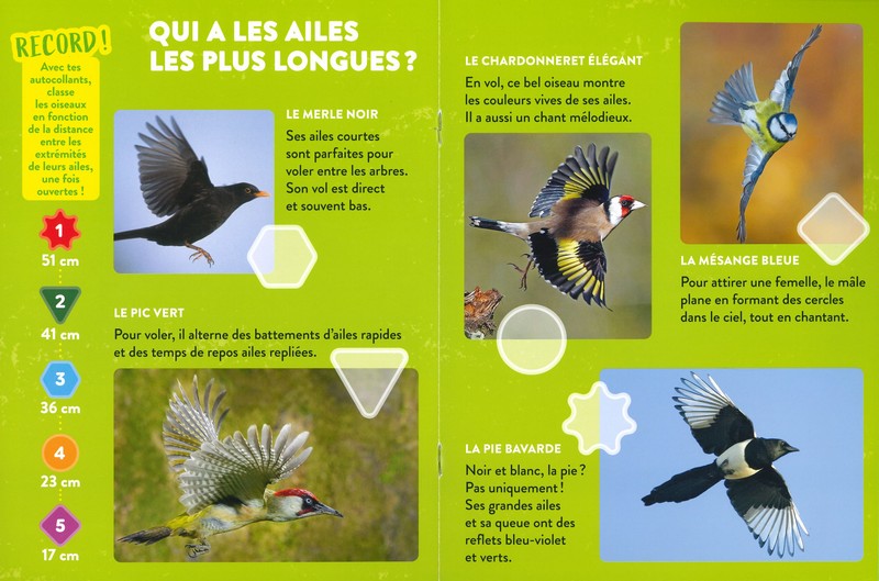 Les animaux du jardin