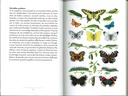 Le petit livre des papillons