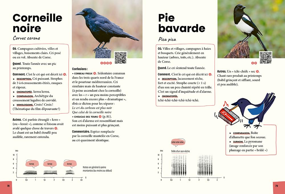 Reconnaitre et retenir les chants d'oiseaux