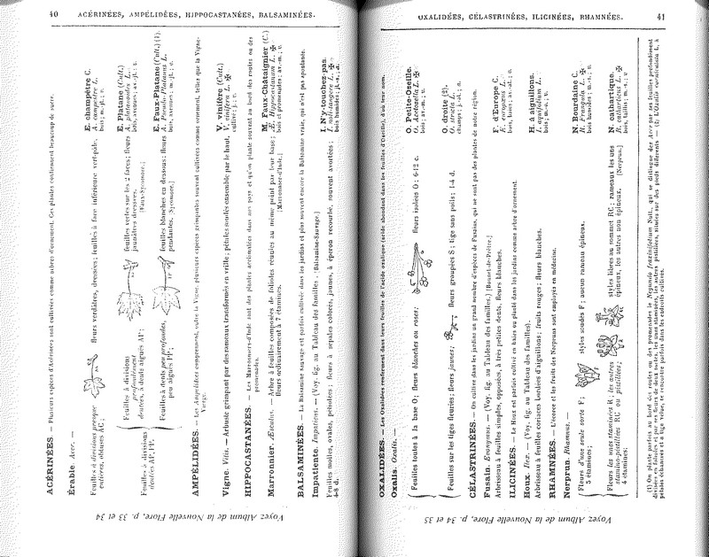Nouvelle flore du nord de la France et de la Belgique