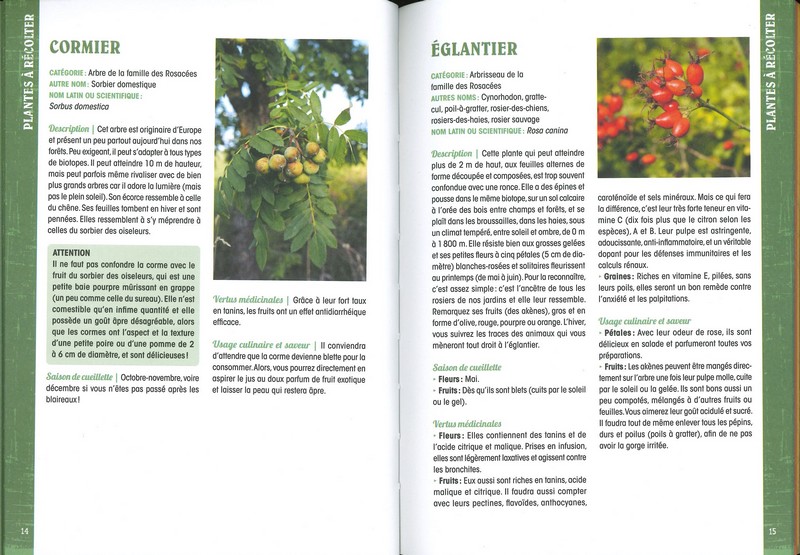 Guide du baroudeur - se nourrir en pleine nature