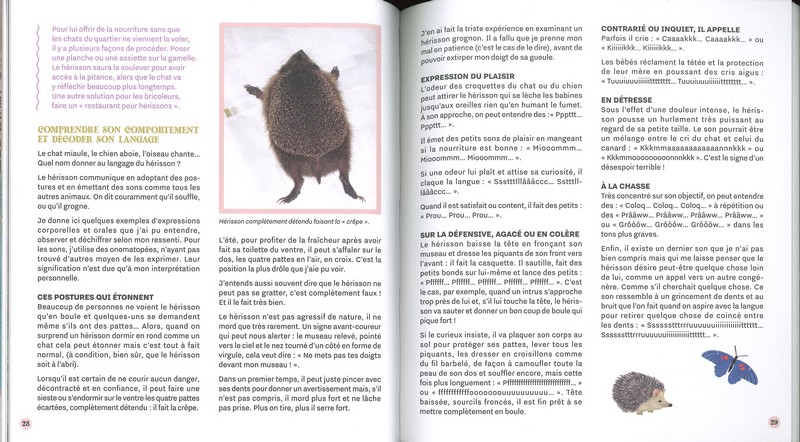 Accueillir les hérissons dans mon jardin