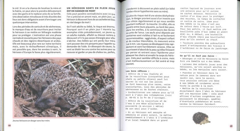 Accueillir les hérissons dans mon jardin