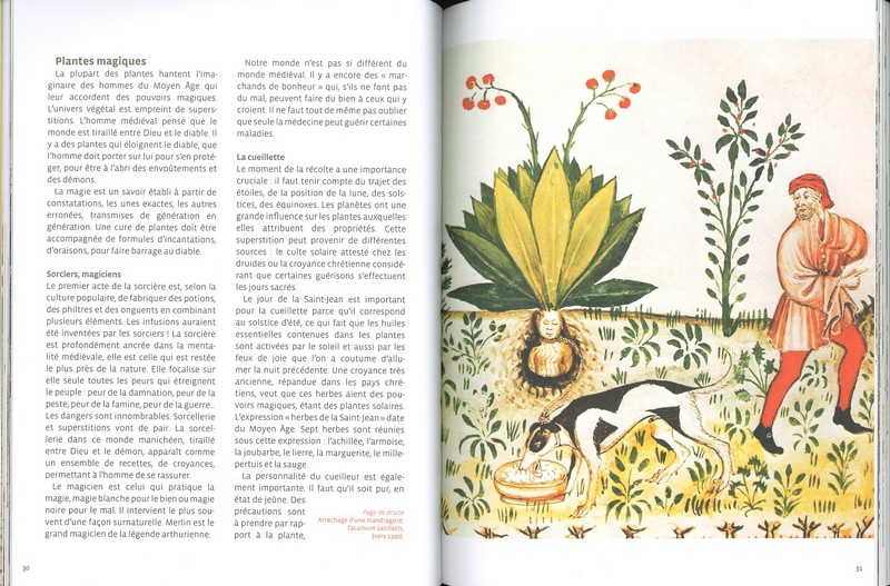 Merveilleuses plantes médiévales