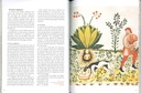 Merveilleuses plantes médiévales