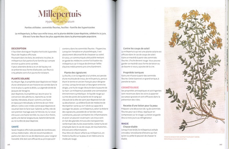 Merveilleuses plantes médiévales