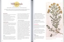 Merveilleuses plantes médiévales