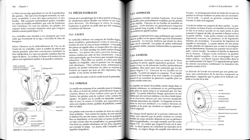 Les Plantes agricoles et leurs maladies