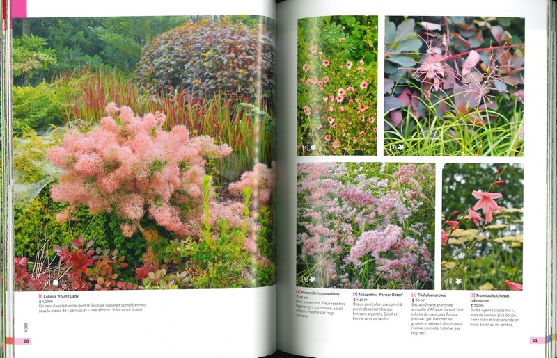 Guide de la couleur au jardin