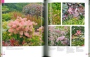 Guide de la couleur au jardin