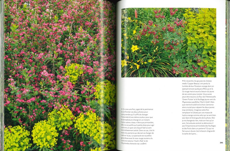 Guide de la couleur au jardin