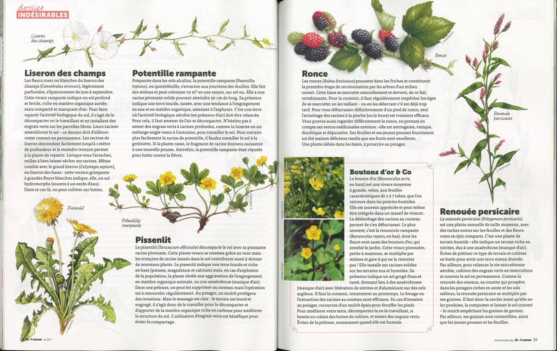 Revue 4 Saisons N°277
