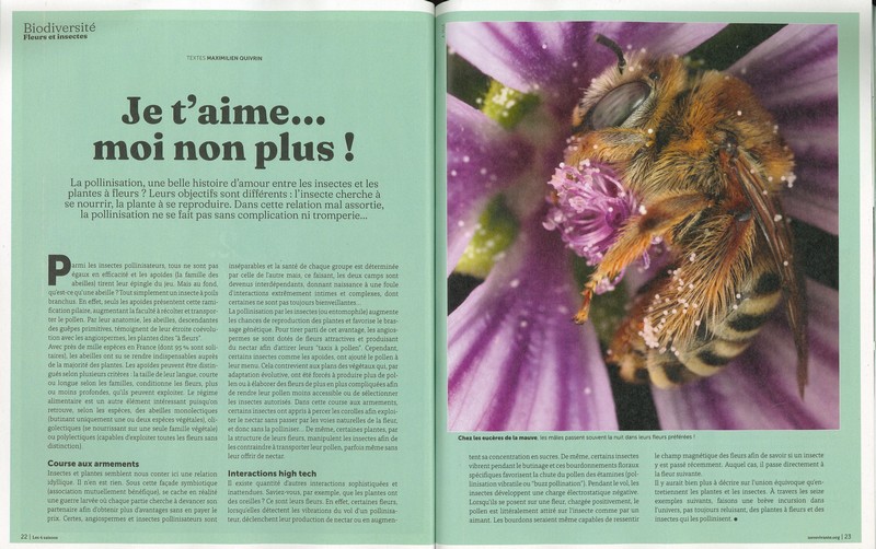 Revue 4 Saisons Hors-série N°39