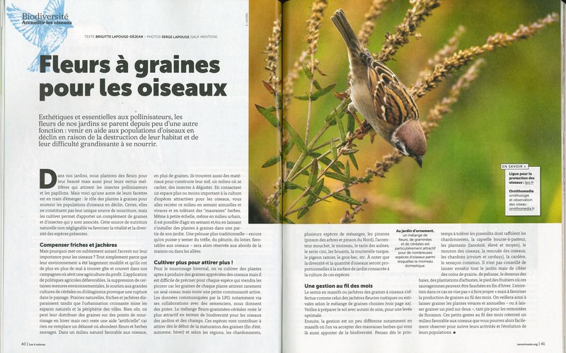 Revue 4 Saisons Hors-série N°39