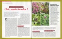 Revue 4 Saisons N°278