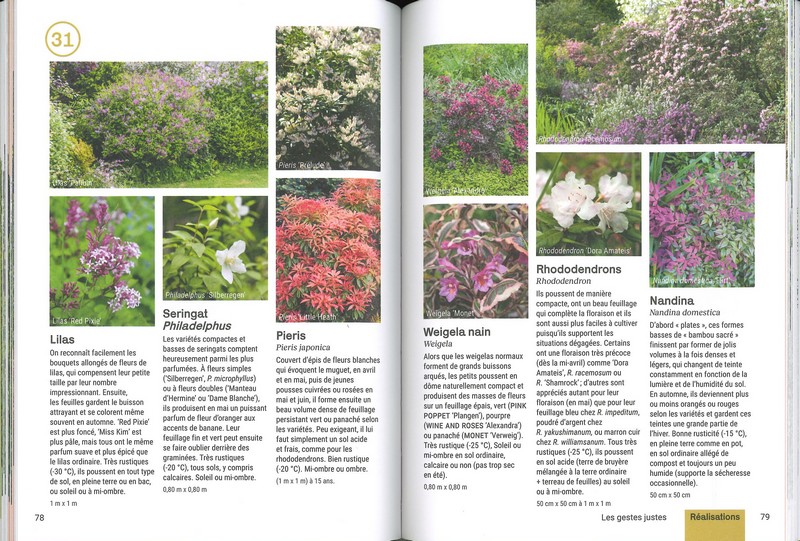 Créer un beau jardin sans corvées