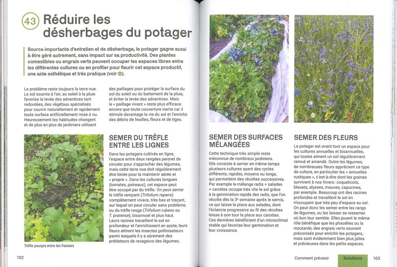 Créer un beau jardin sans corvées