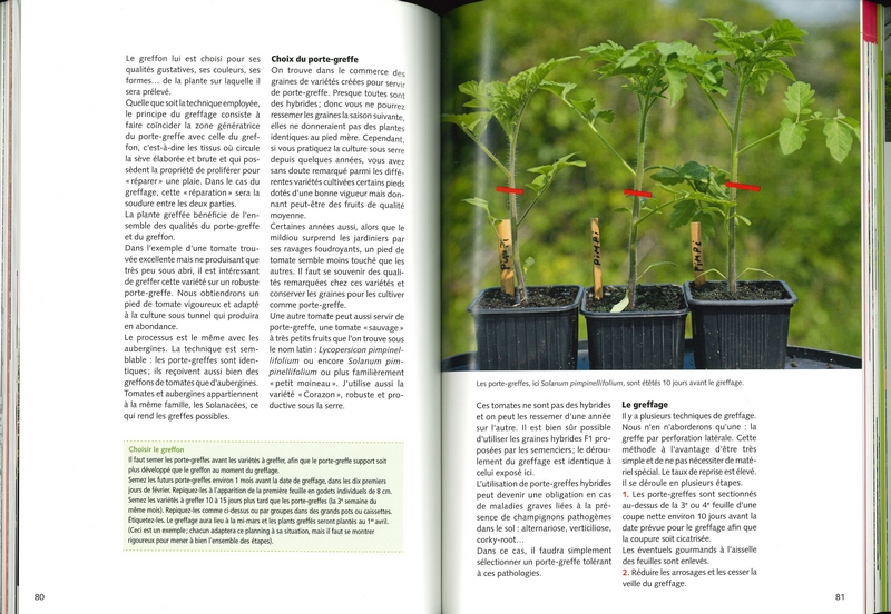 Cultiver les légumes sous serre et autres abris