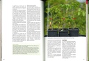 Cultiver les légumes sous serre et autres abris